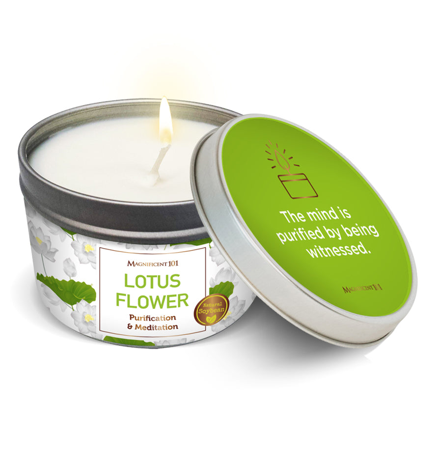  Musee Camellia & Lotus Soy Wax Candle - Organic, Natural,  Non-Toxic, Essential Oil candle, 60-Hour Burn Time, Perfect for bathroom  and home decor, Aromatherapy 100% Soy Candles