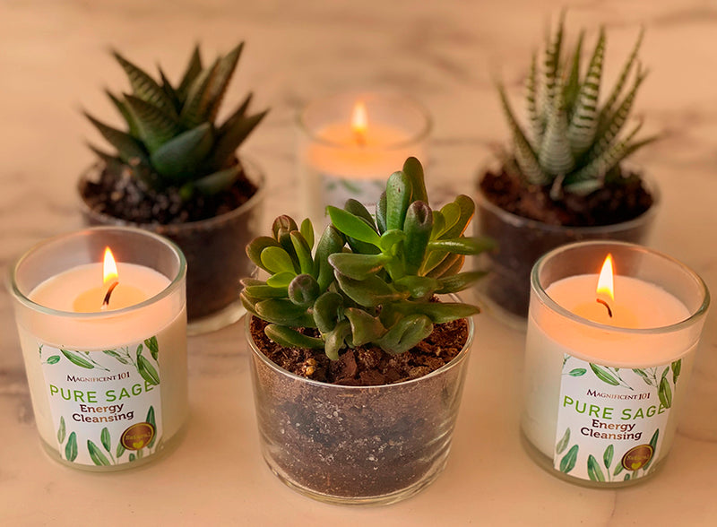 PURE SAGE Energy Cleansing Set of 3 Candles