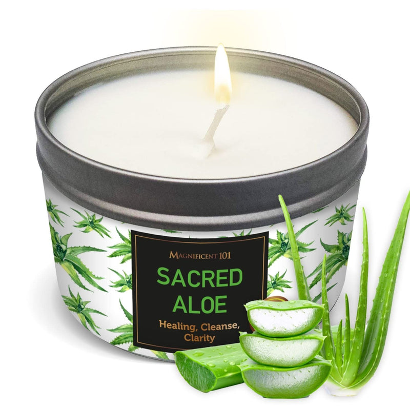 Tin Candle Sacred Plants, Aloe, 6 oz