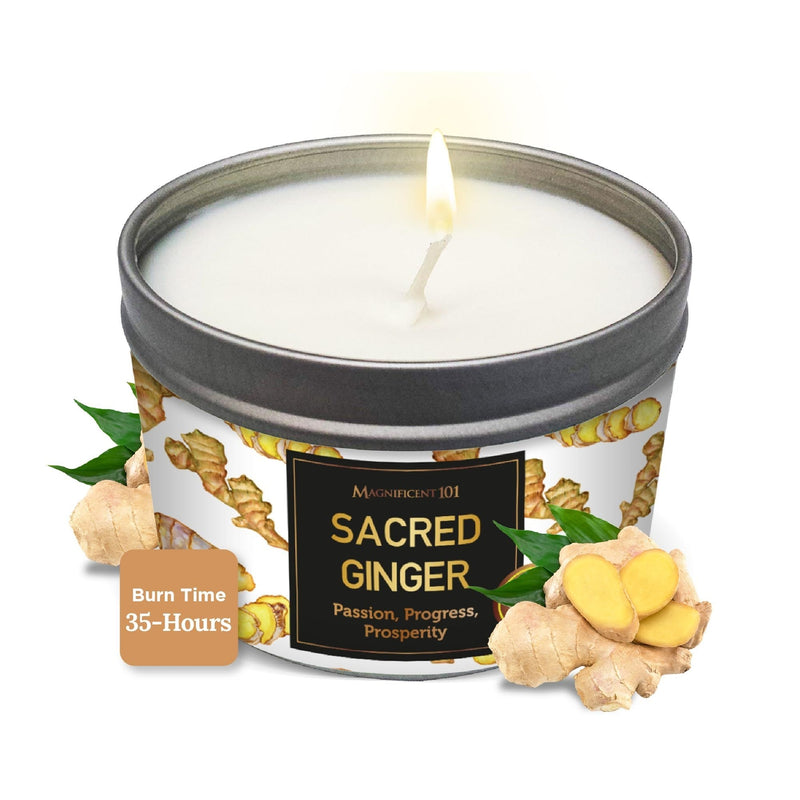 Tin Candle Sacred Plants, Ginger, 6 oz