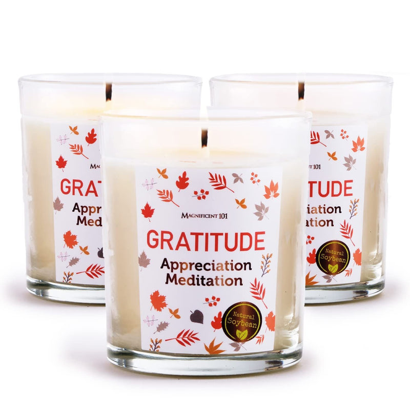 Glass Candle Aff. 3 Pack, Gratitude - Meditation, 3.5 oz