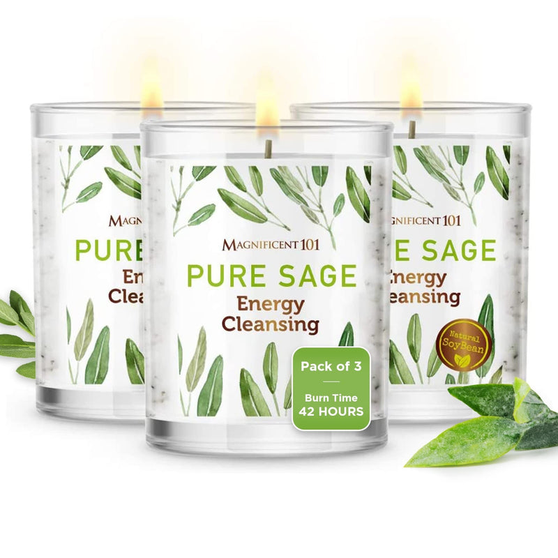 Glass Candle 3 Pack Pure Sage, 3.5 oz