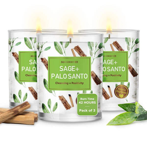 Glass Candle Energy 3 Pack, Sage + Palo Santo, 3.5 oz