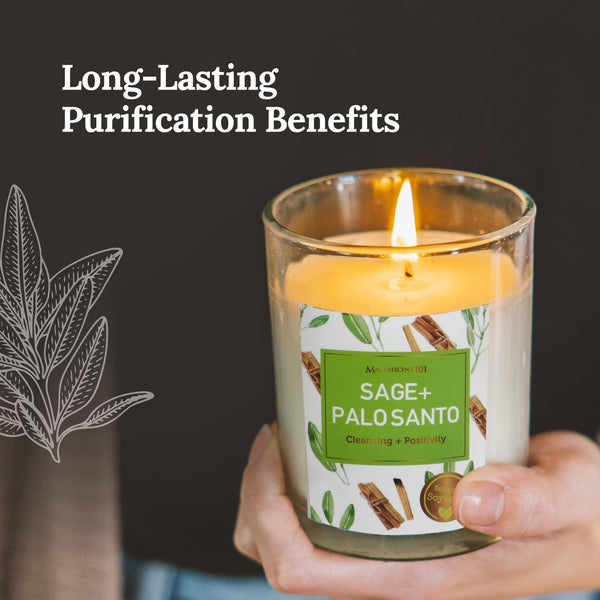 Glass Candle Energy 3 Pack, Sage + Palo Santo, 3.5 oz