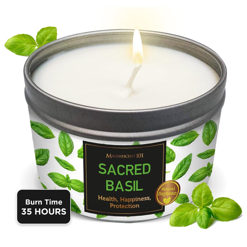 Tin Candle Sacred Plants, Basil, 6 oz