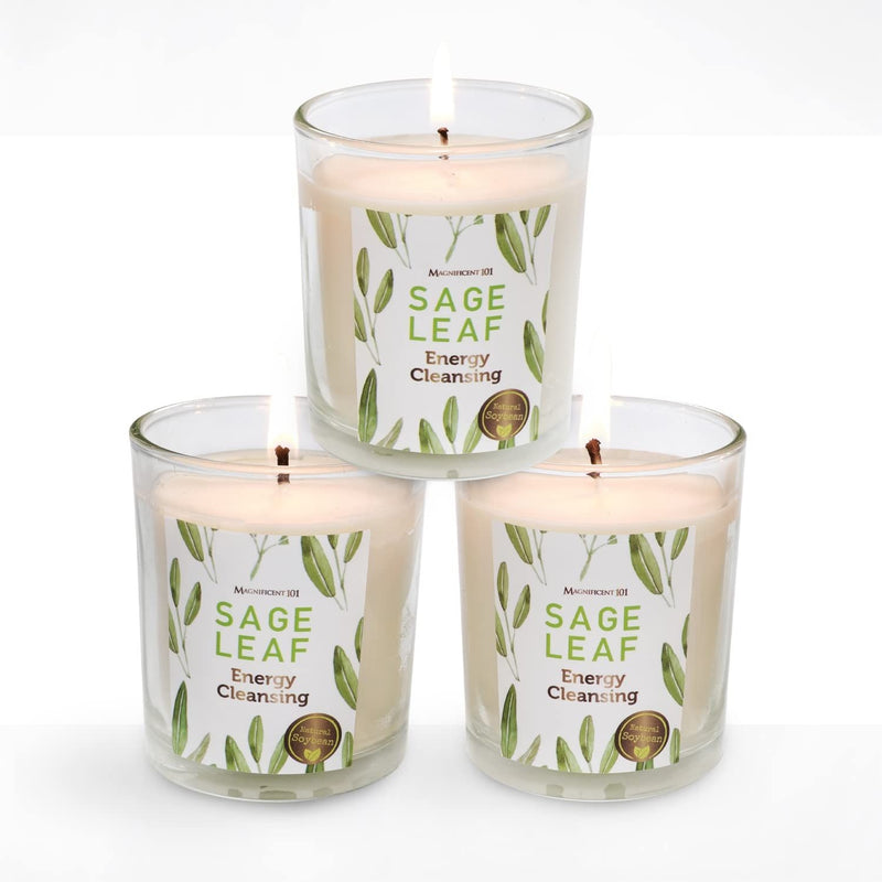 Glass Candle 3 Pack Sage Leaf, 3.5 oz