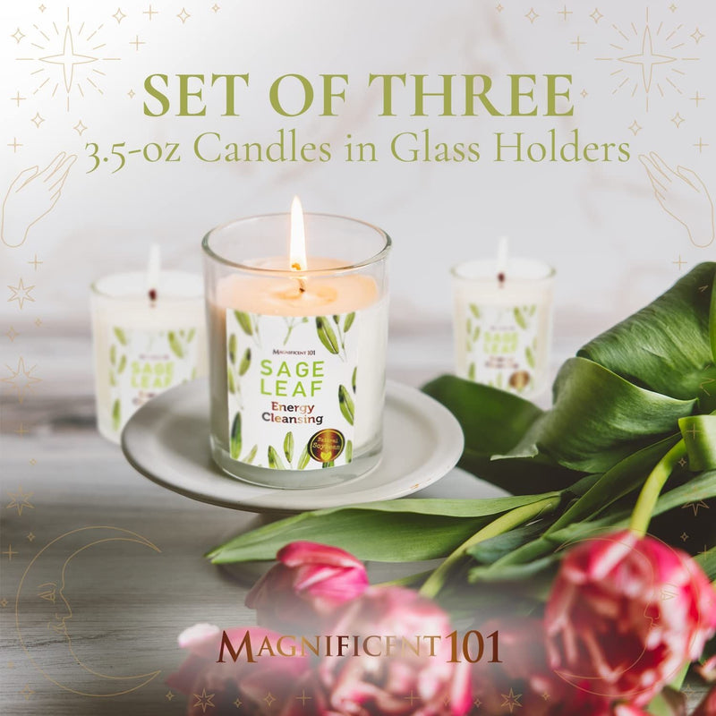 Glass Candle 3 Pack Sage Leaf, 3.5 oz